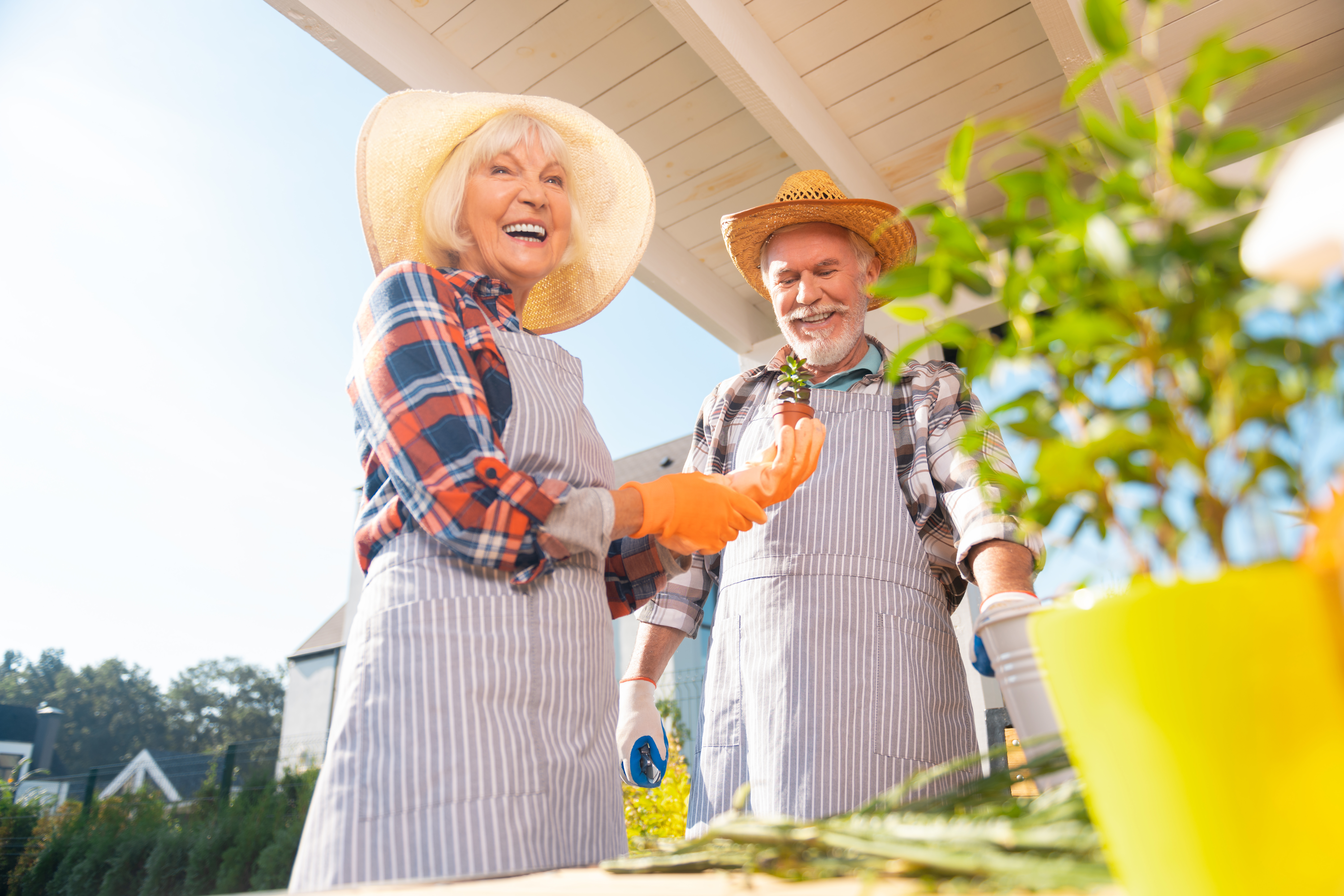 Retired husband and wife wearing striped aprons while doing gardening